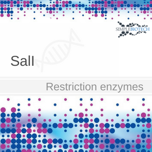 SalI Restriction enzyme