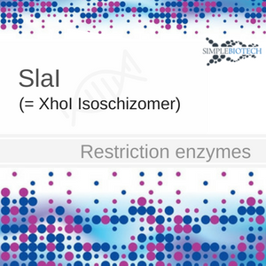 SlaI Restriction enzyme