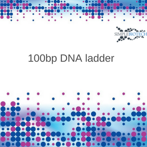 100 bp DNA Ladder