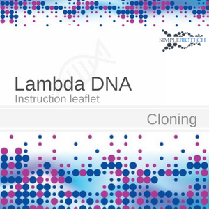 Lambda Bakteriophagen DNA
