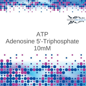 ATP 10mM pH 7,5 mit Tris base