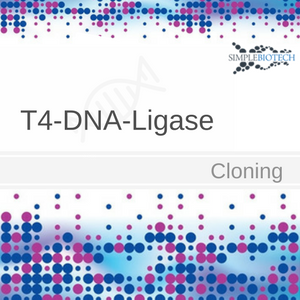 T4 DNA Ligase for DNA klonierung Polydeoxyribonucleotide synthase