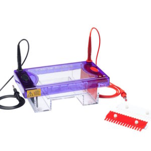 Elektrophorese Kammer, MuliSUB Midi, Midi Gelkammer, Midi Elektrophoresekammer, Kammer Gelektrophorese, Kammer DNA Elektrophorese, Midi Elektrophoreseset,